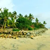 Plage bordée de cocotiers devant Ayur Beach Resort